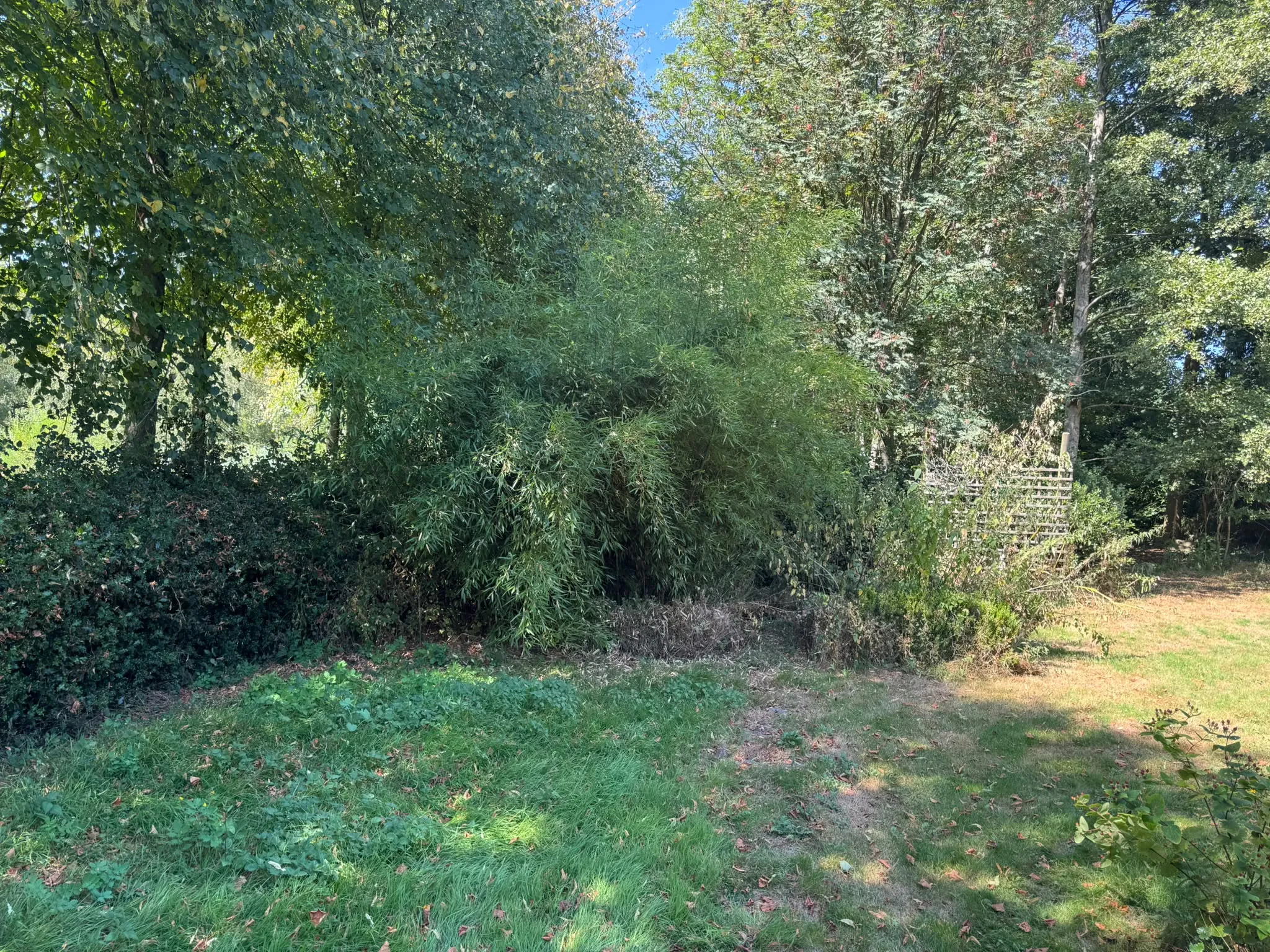 Clearing